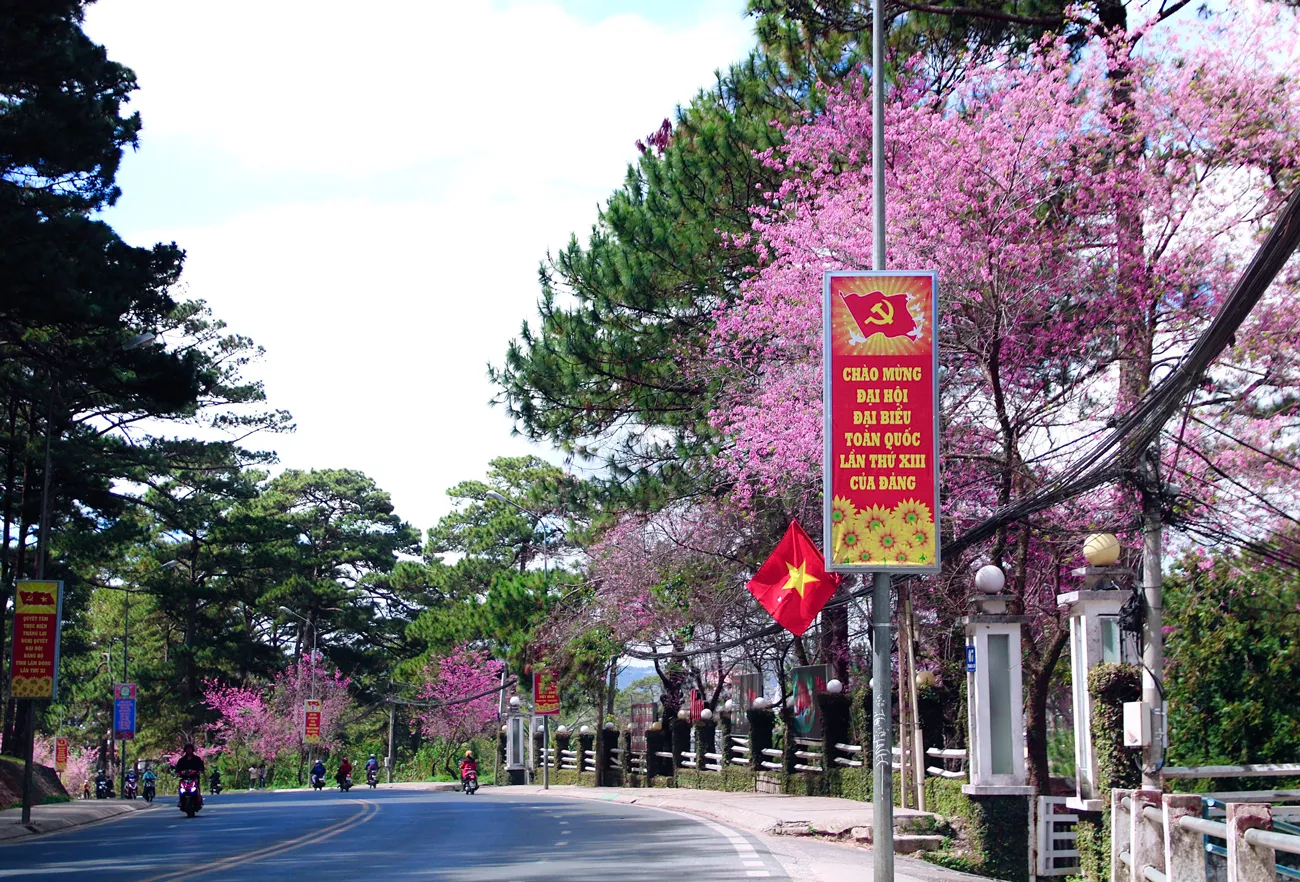 Đà Lạt với khí hậu dễ chịu, bình yên trong dịp Tết