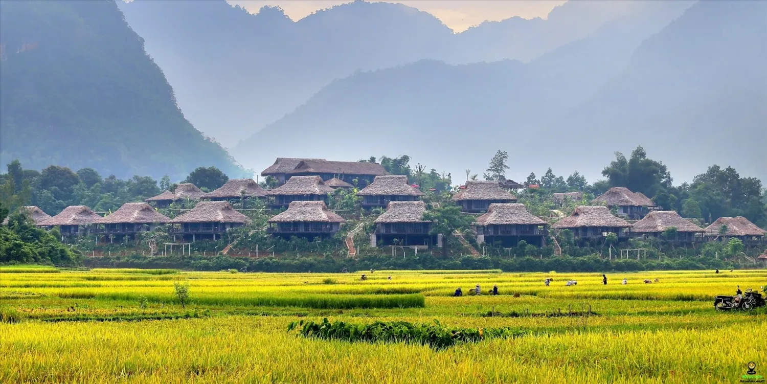 Bản Lác hiện lên bình yên giữa núi rừng Mai Châu với những ngôi nhà sàn truyền thống và khung cảnh xanh mướt trải dài.