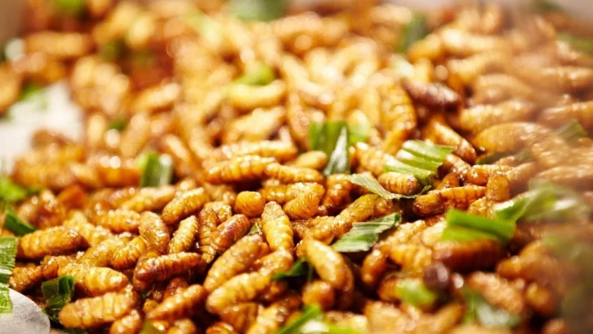 Đặc sản Tây Bắc: nhộng ong rừng giản dị mà đậm đà, khiến bất cứ tín đồ ẩm thực nào cũng mê mẩn.