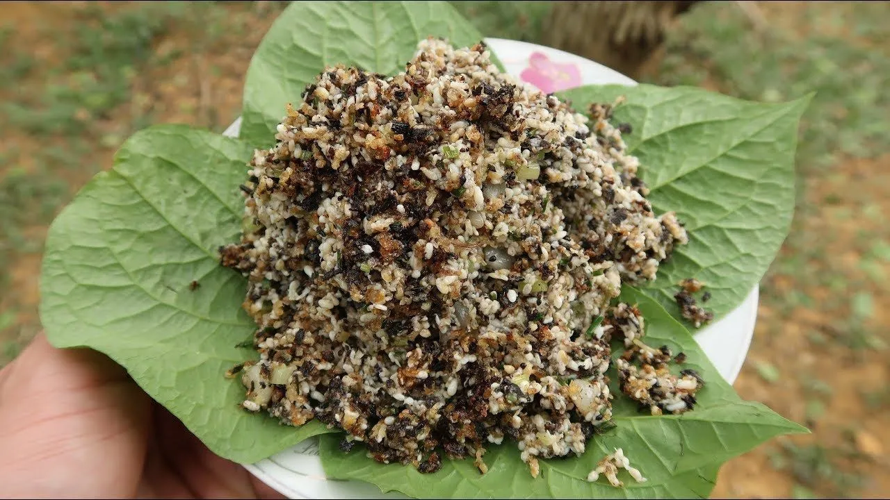 Xôi trứng kiến: món ăn dân dã, nhưng ngon bất ngờ.