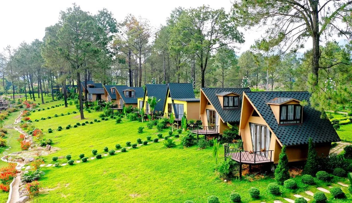Vẻ đẹp trầm lắng của rừng thông bản Áng mang đến cảm giác an nhiên giữa thiên nhiên.