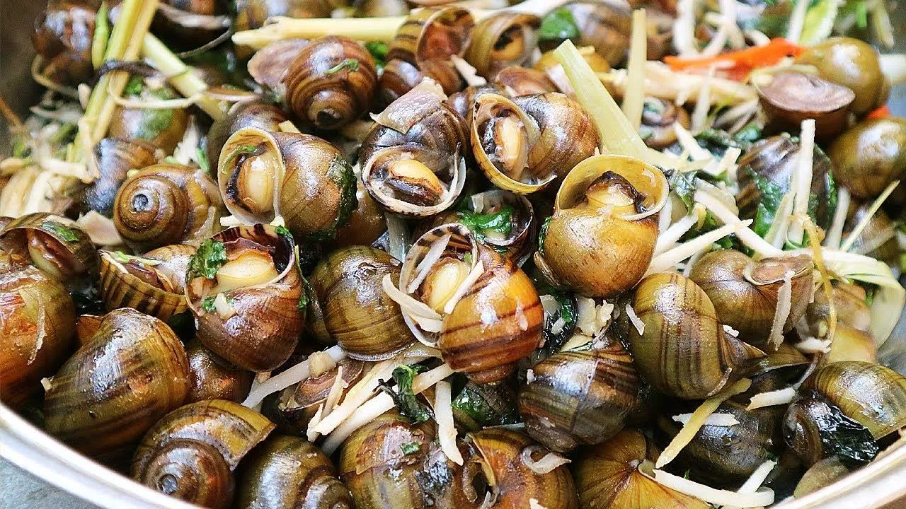 Ốc đá Suối Bàng mang hương vị núi rừng với độ giòn dai tự nhiên đầy hấp dẫn.