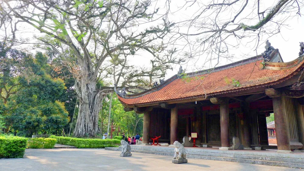 Ánh nắng phủ lên núi rừng Thanh Hóa tạo nên khung cảnh bình yên và đầy sức sống.