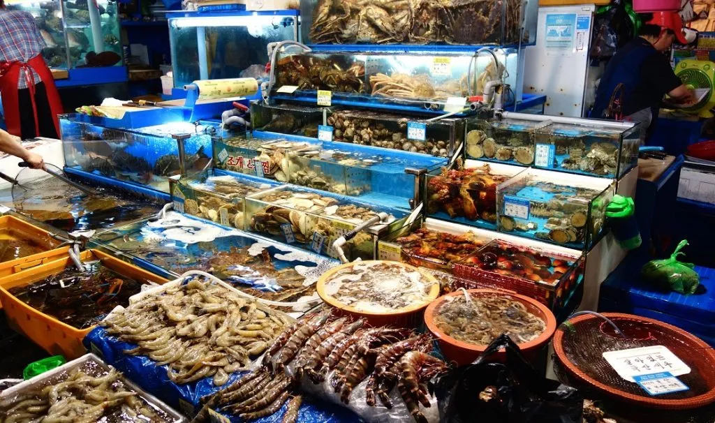 Hải sản tươi sống được bán bên bờ biển với giá cả phải chăng