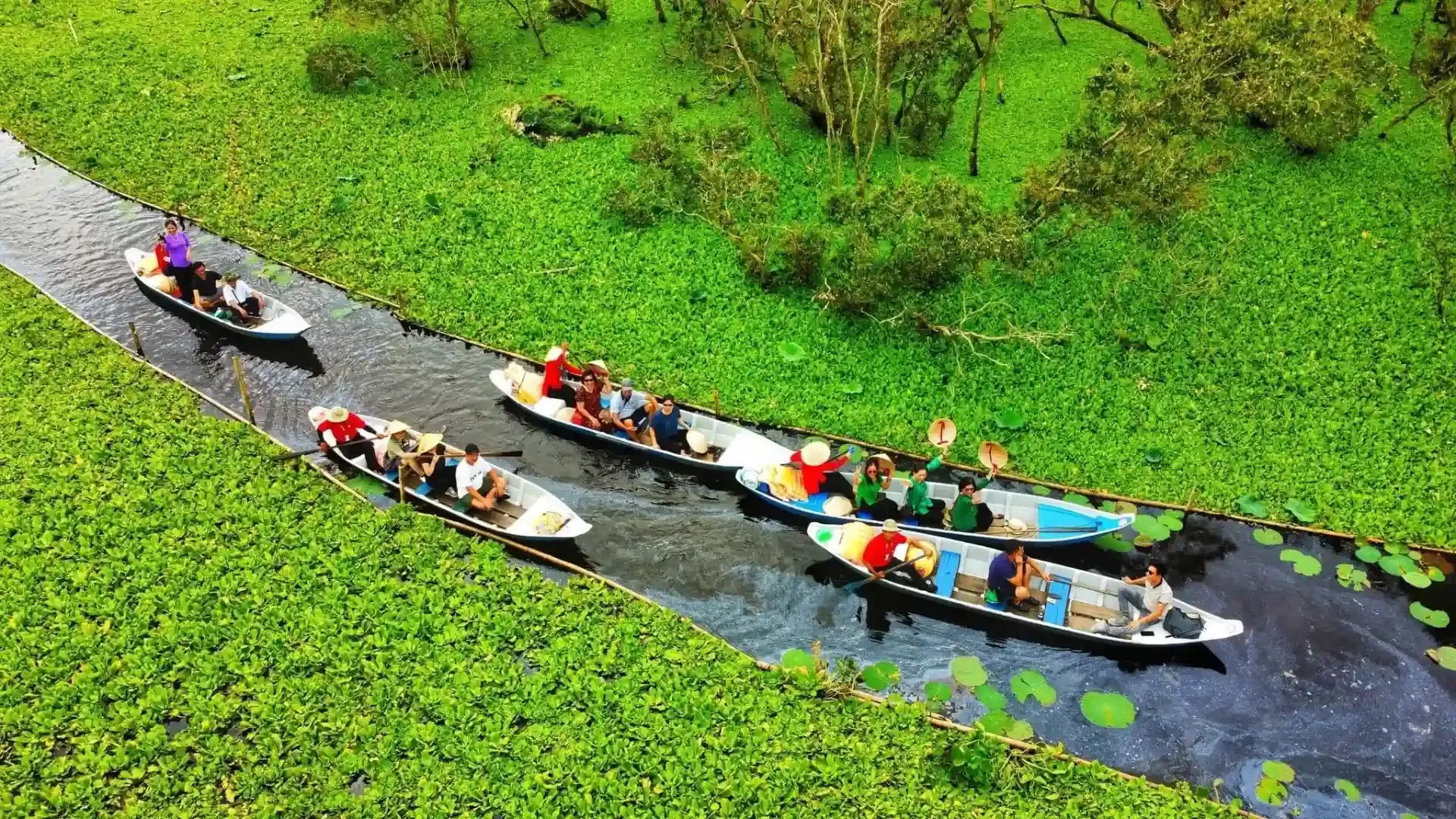 Đắm chìm trong không gian xanh mướt của rừng tràm Trà Sư